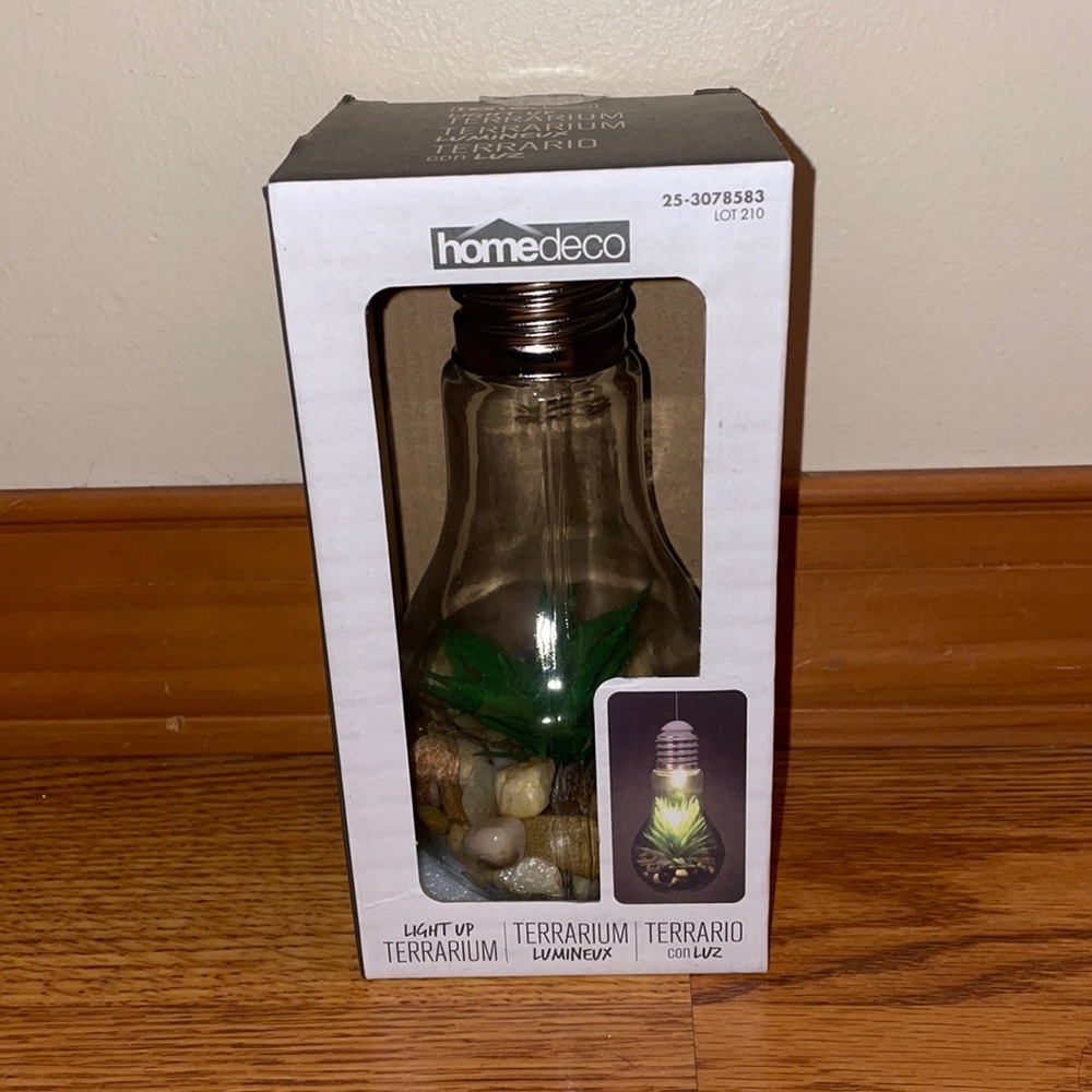 Home Deco Light Up Terrarium